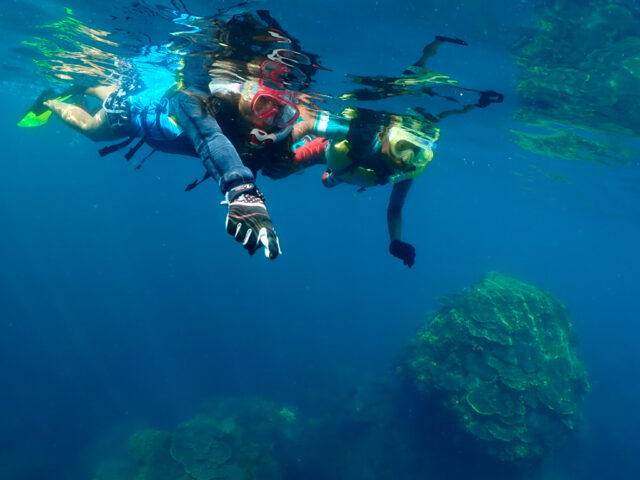 シュノーケリングピクニックｰ３