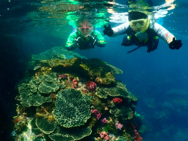 ボートシュノーケリングｰ4