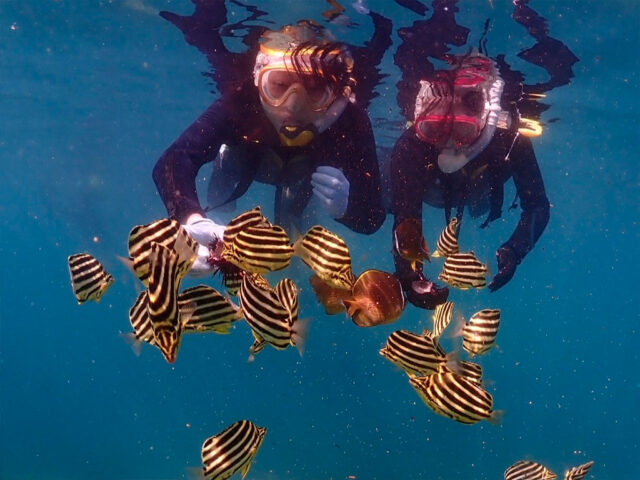 ビーチシュノーケリングｰ3