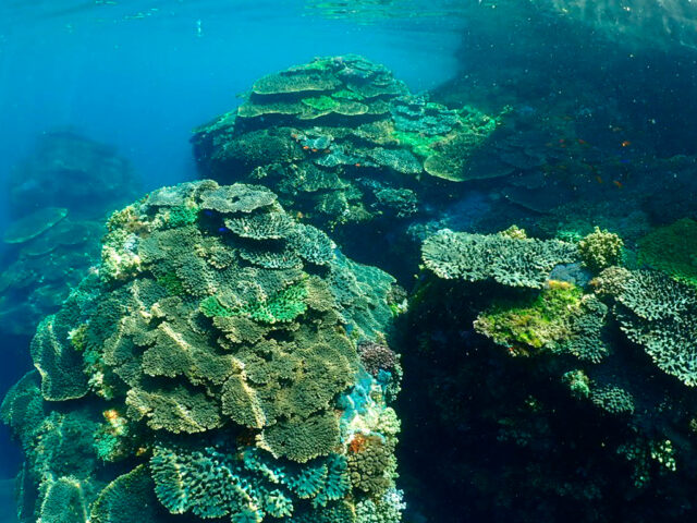 ボートシュノーケリングｰ3