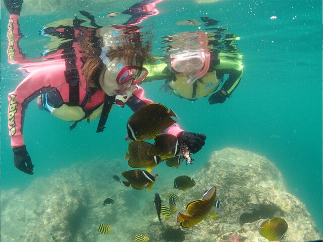 ビーチシュノーケリングｰ1