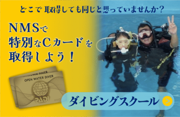 ダイビングスクール