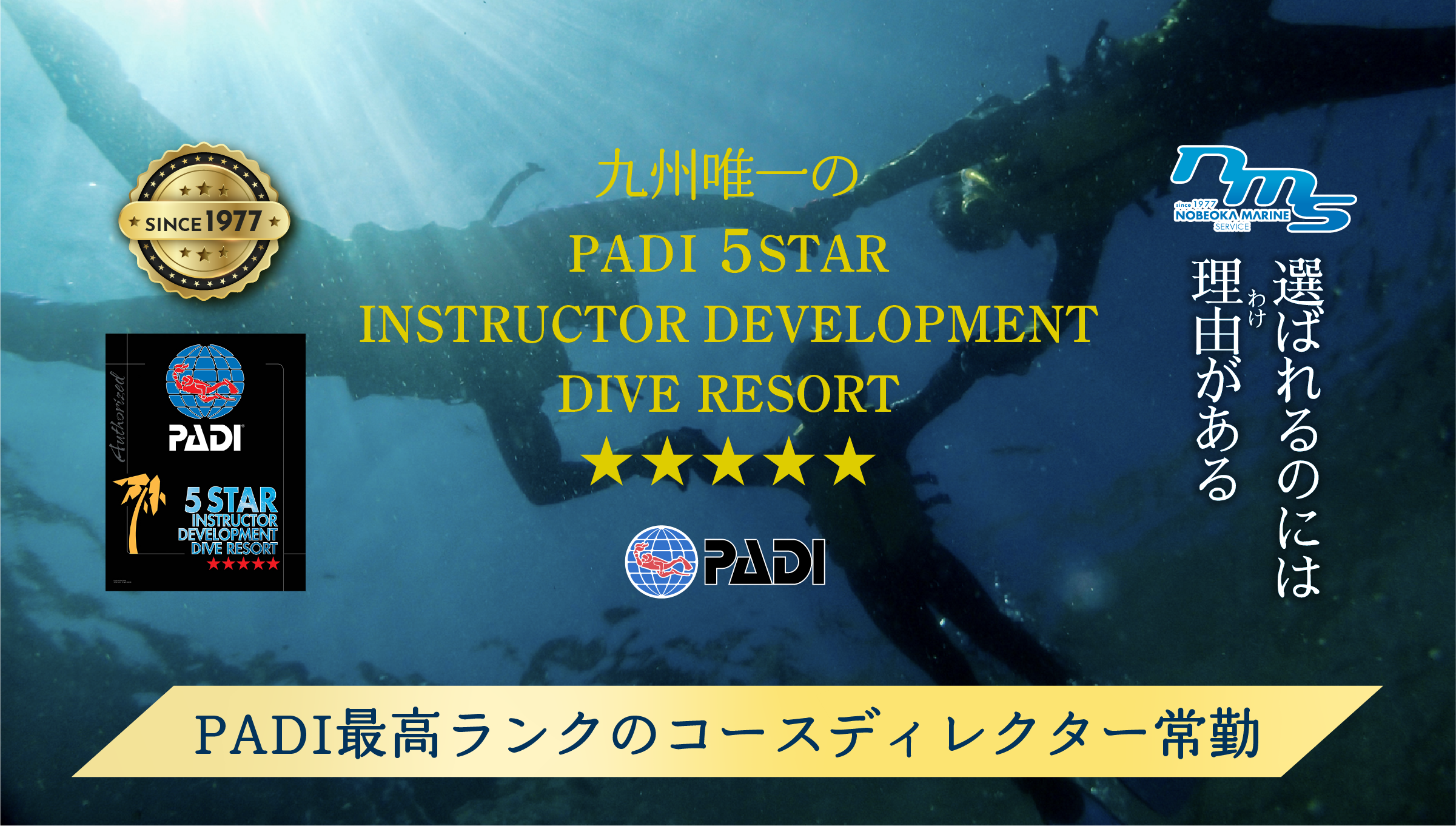 PADI最高ランクのコースディレクター常勤