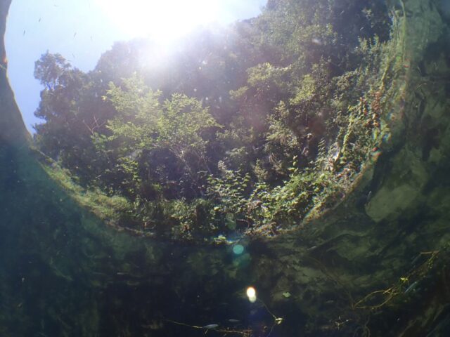 リバーダイブ (2)