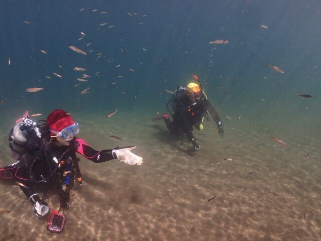 リバーダイブ (3)